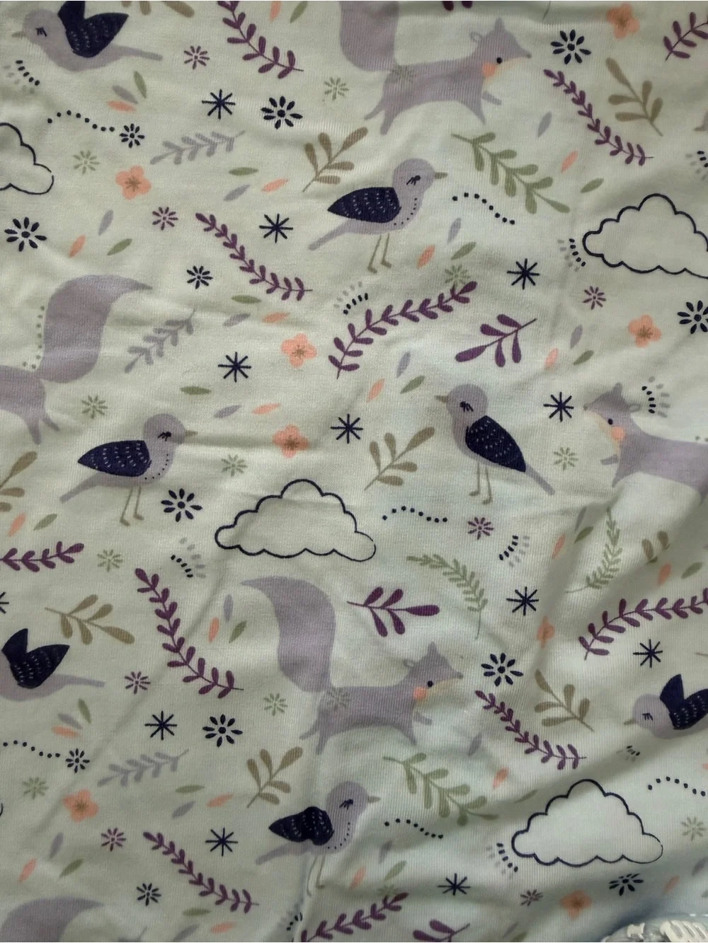 NWOT Magnetic Me little birdy Viscose(Bamboo) convertible footies- 18-24M